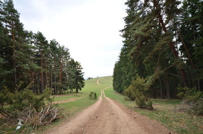 Road amidst trees in forest against sky