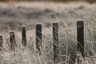 Close-up of fence on field