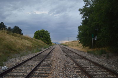 Railway tracks amidst trees against sky