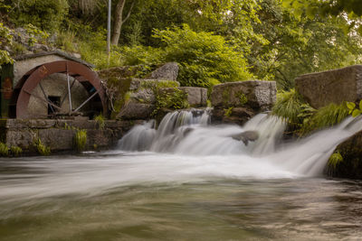 Scenic view of waterfall in forest