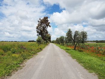 Road amidst plants on field against sky