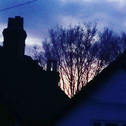 Low angle view of silhouette tree against sky