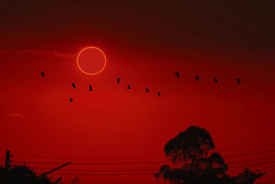 Low angle view of silhouette birds flying against orange sky