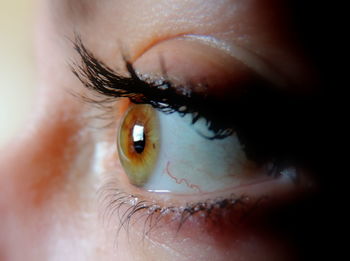 Close-up of woman looking away