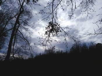 Low angle view of silhouette trees on field against sky at sunset