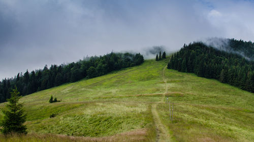 Scenic view of green landscape against sky