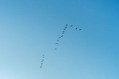 Low angle view of birds flying in sky