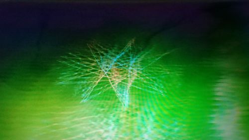 Full frame shot of illuminated dandelion
