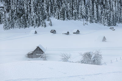 Scenic view of snow covered field