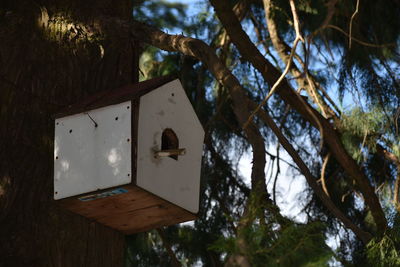 Low angle view of birdhouse on tree