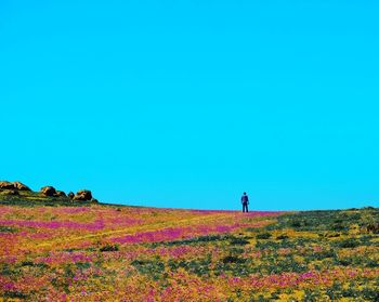 Man standing on field against clear blue sky