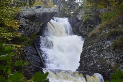 Stream flowing through rocks in forest