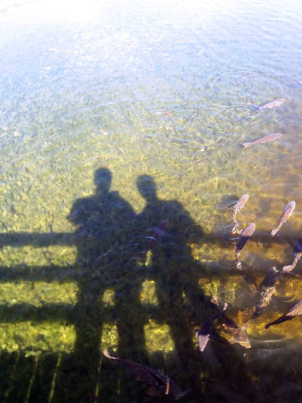 HIGH ANGLE VIEW OF PEOPLE STANDING BY WATER