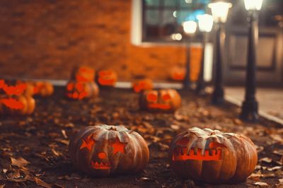 View of pumpkins during autumn at night