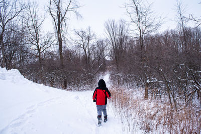 Kid walking along a trail in a forest covered with snow