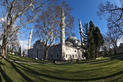 Trees by suleymaniye mosque against sky