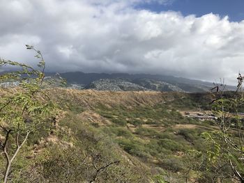 Scenic view of landscape against sky