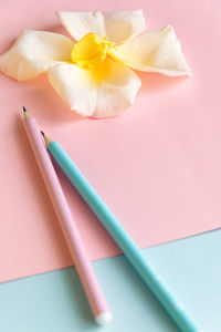 High angle view of pink flower on table
