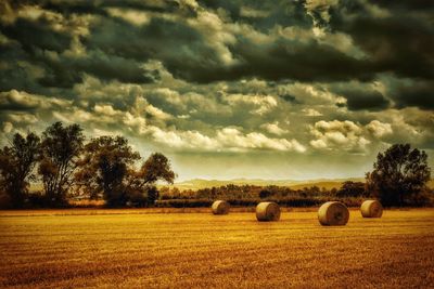 Scenic view of agricultural field against cloudy sky