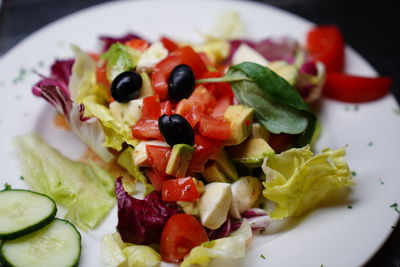 Close-up of salad served in plate