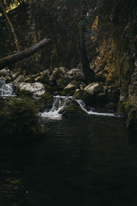 Scenic view of waterfall in forest