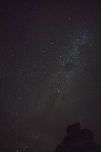 Low angle view of stars in sky at night