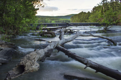 Scenic view of river flowing in forest against sky