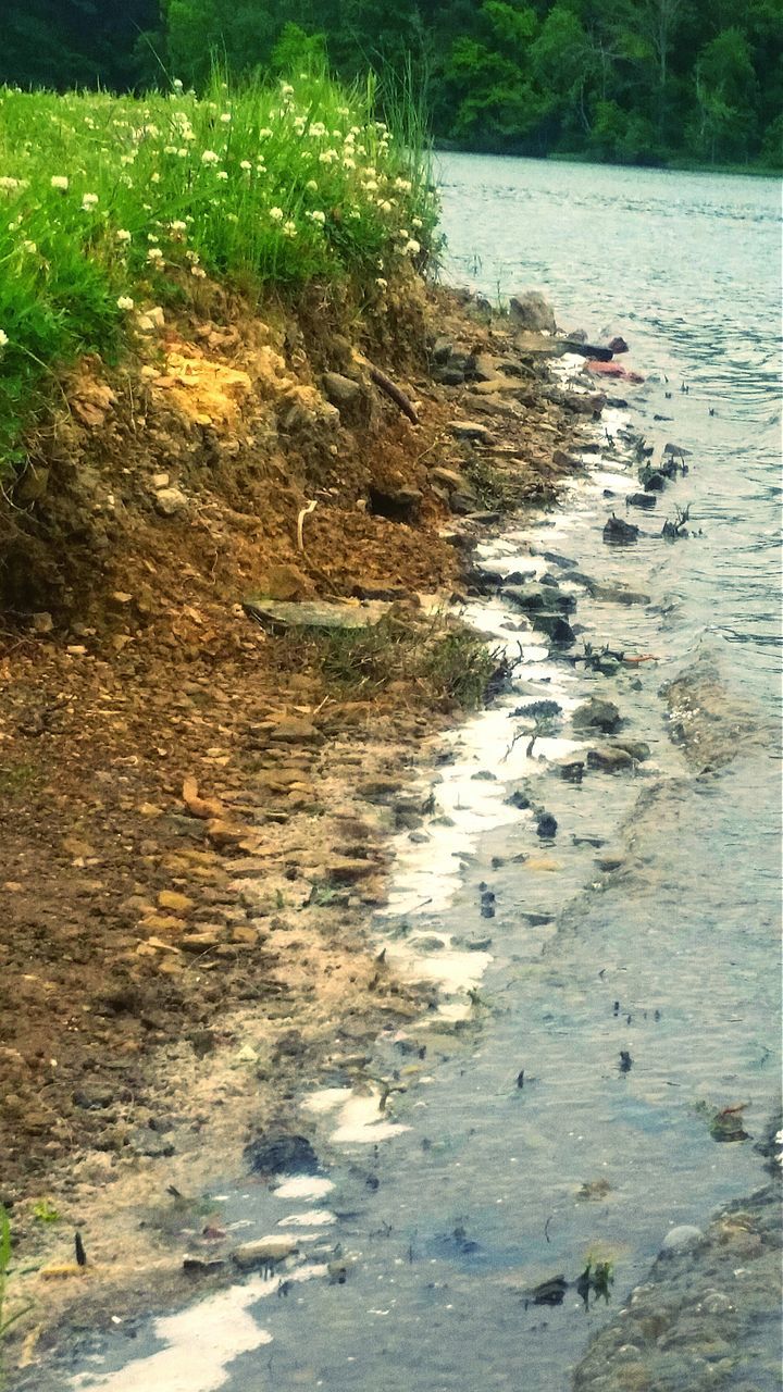 VIEW OF RIVER WITH TREES IN BACKGROUND