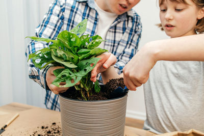 Midsection of woman holding potted plant