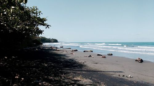 Scenic view of sea against clear sky