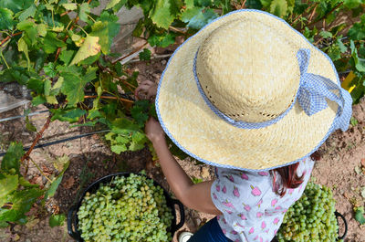 High angle view of woman wearing hat