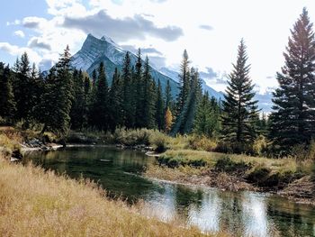 Scenic view of lake and trees against sky