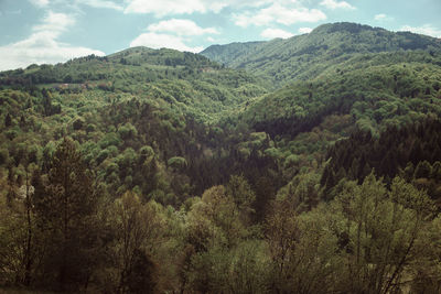 Scenic view of green mountains against sky