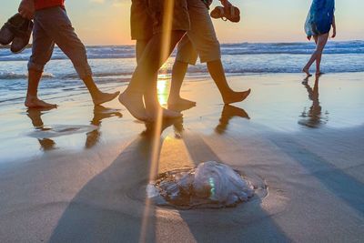 Low section of people on beach