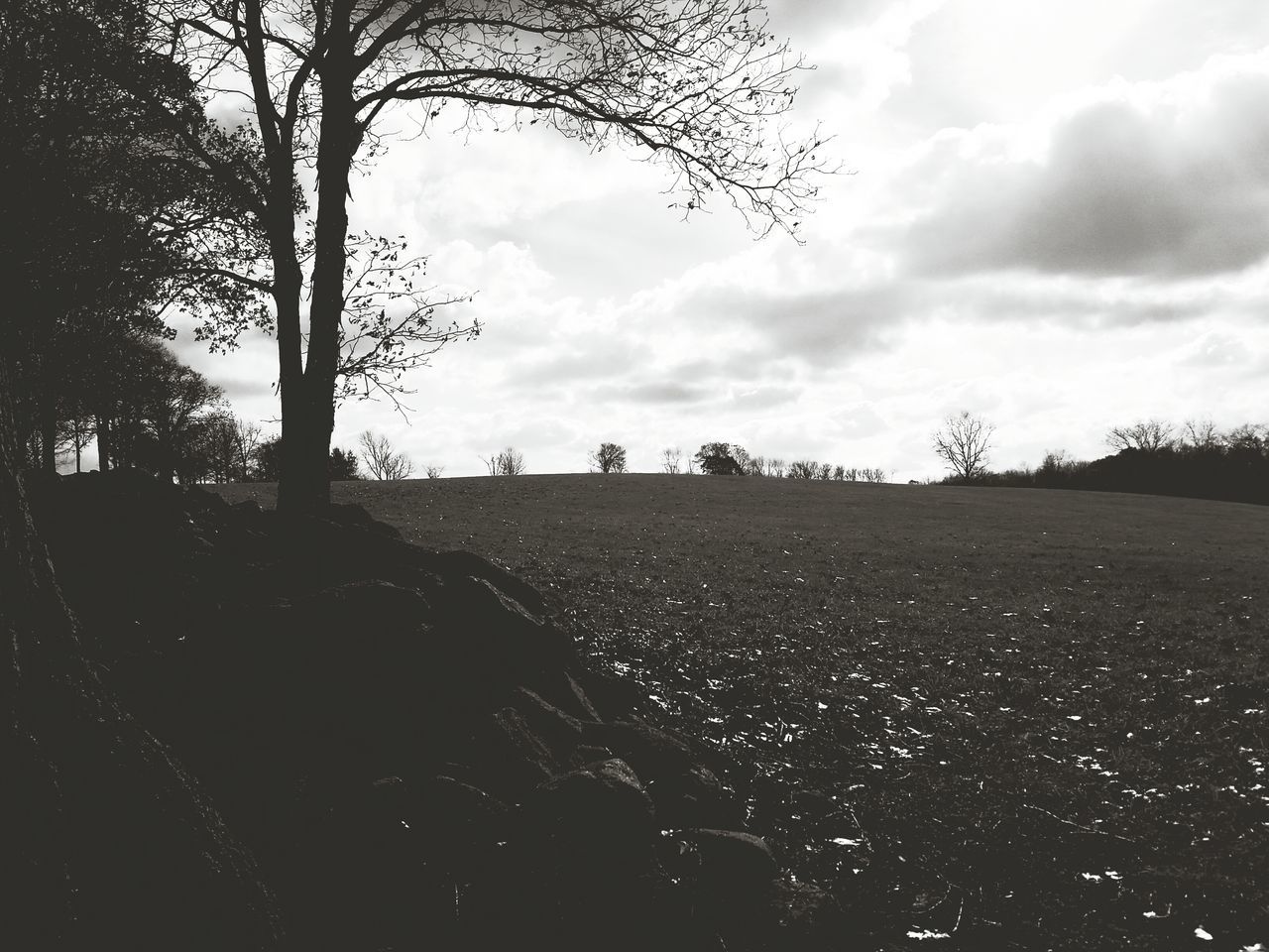 sky, cloud - sky, tree, cloudy, tranquility, tranquil scene, cloud, silhouette, landscape, nature, scenics, beauty in nature, field, weather, overcast, road, bare tree, outdoors, dusk, no people