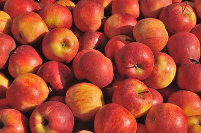 Apples on a market