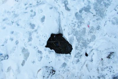 Close-up of frozen water