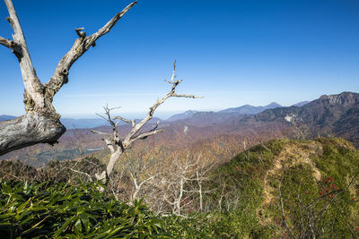 Scenic view of landscape against clear blue sky