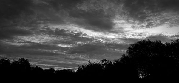 Low angle view of silhouette trees against sky at sunset