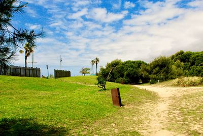 Scenic view of field against sky