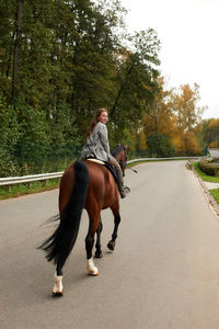 Rear view of man riding horse on road