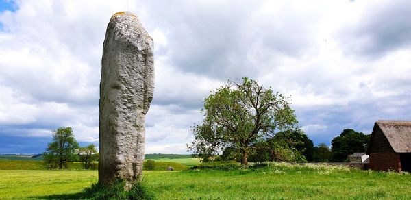 Trees on field against sky