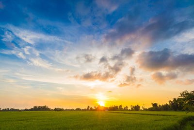 Scenic view of field against sky during sunset