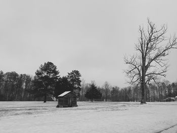 Trees on snow covered field against sky