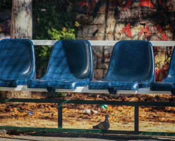 Low section of people relaxing on bench