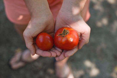 Close-up of man holding tomatoes