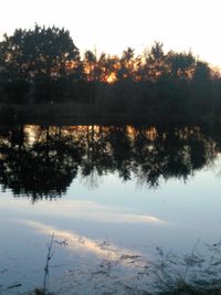 Reflection of trees in water at sunset