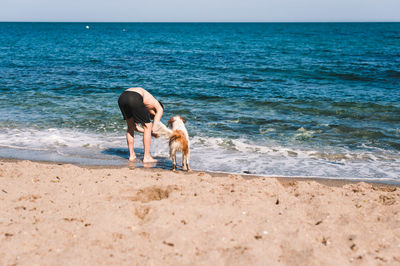 Dog standing on beach