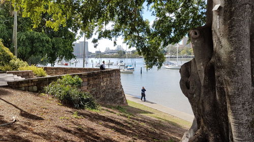 People by trees against sky