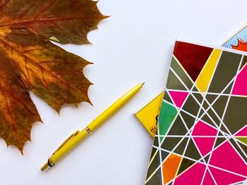 High angle view of multi colored pencils on table